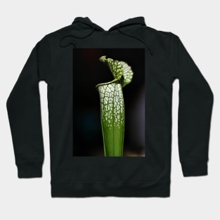 Green Pitcher Plant Study Hoodie